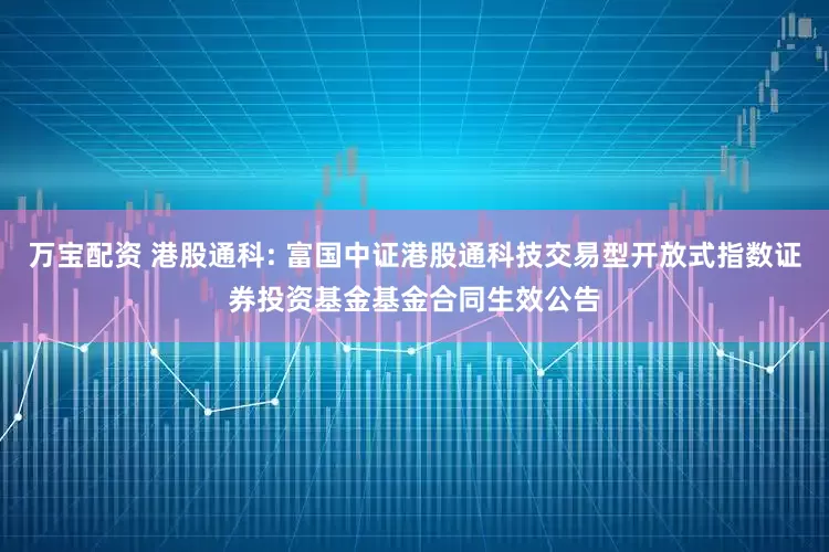 万宝配资 港股通科: 富国中证港股通科技交易型开放式指数证券投资基金基金合同生效公告