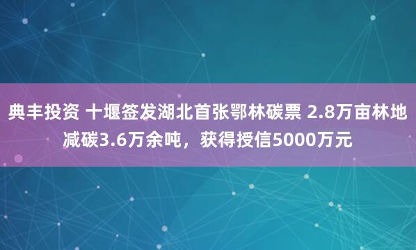 典丰投资 十堰签发湖北首张鄂林碳票 2.8万亩林地减碳3.6万余吨，获得授信5000万元