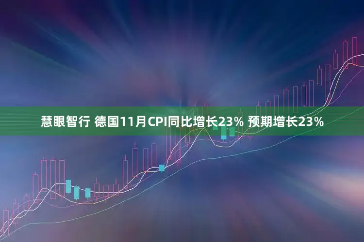 慧眼智行 德国11月CPI同比增长23% 预期增长23%